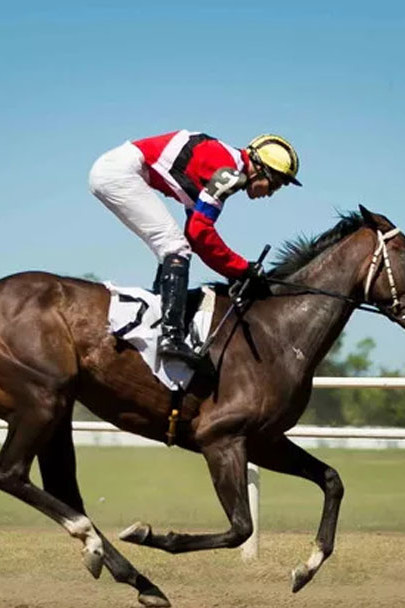 Конный спорт. Скачки. Большой Краснодарский приз Дерби. Трансляция из Краснодара