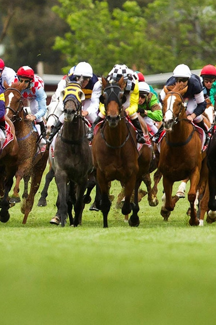 Скачки. Большой Краснодарский приз Дерби. Трансляция из Краснодара