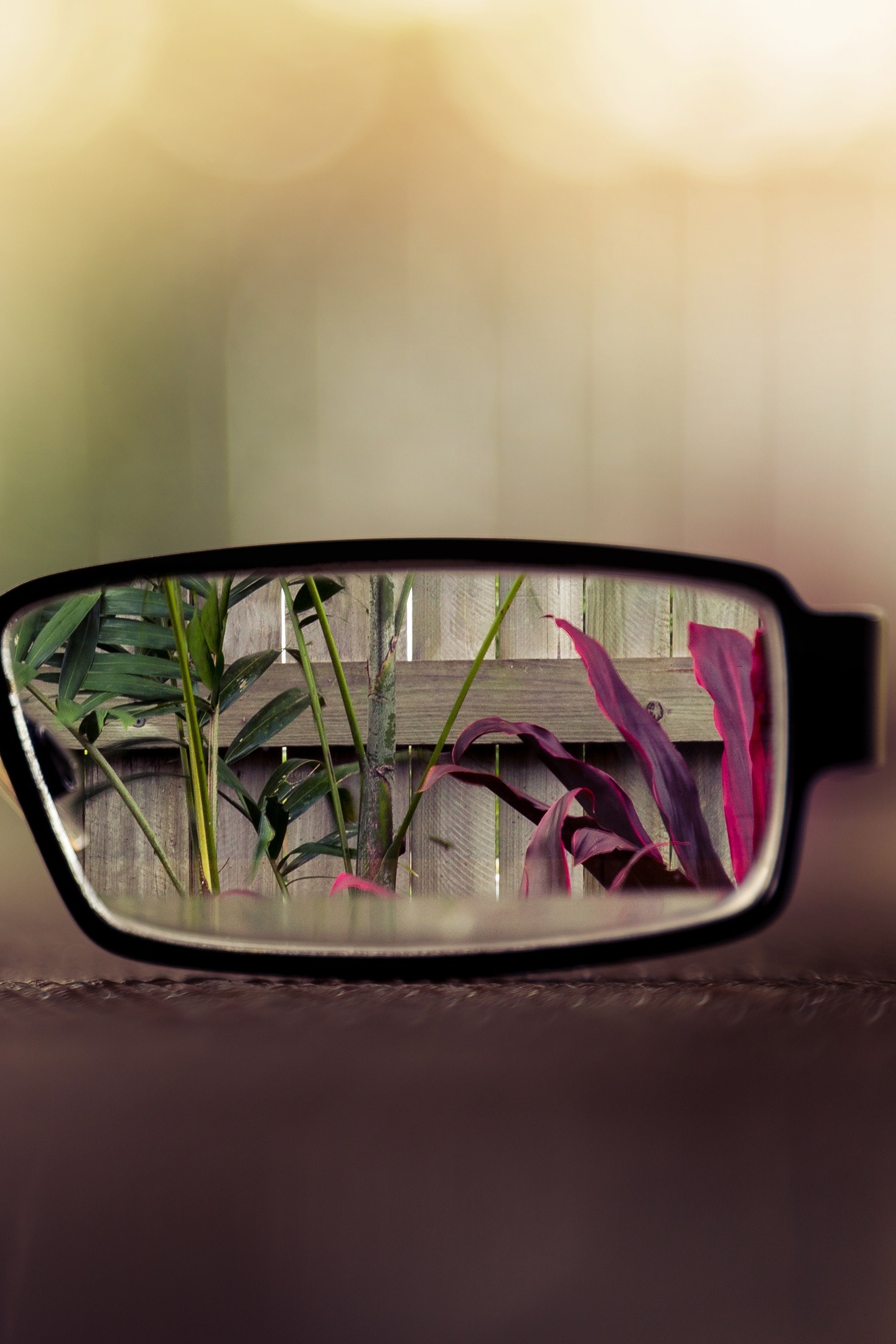 Эпидемия близорукости