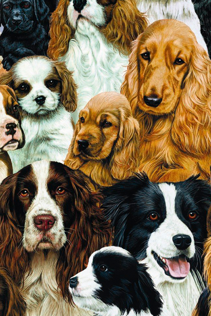 Такие разные собаки