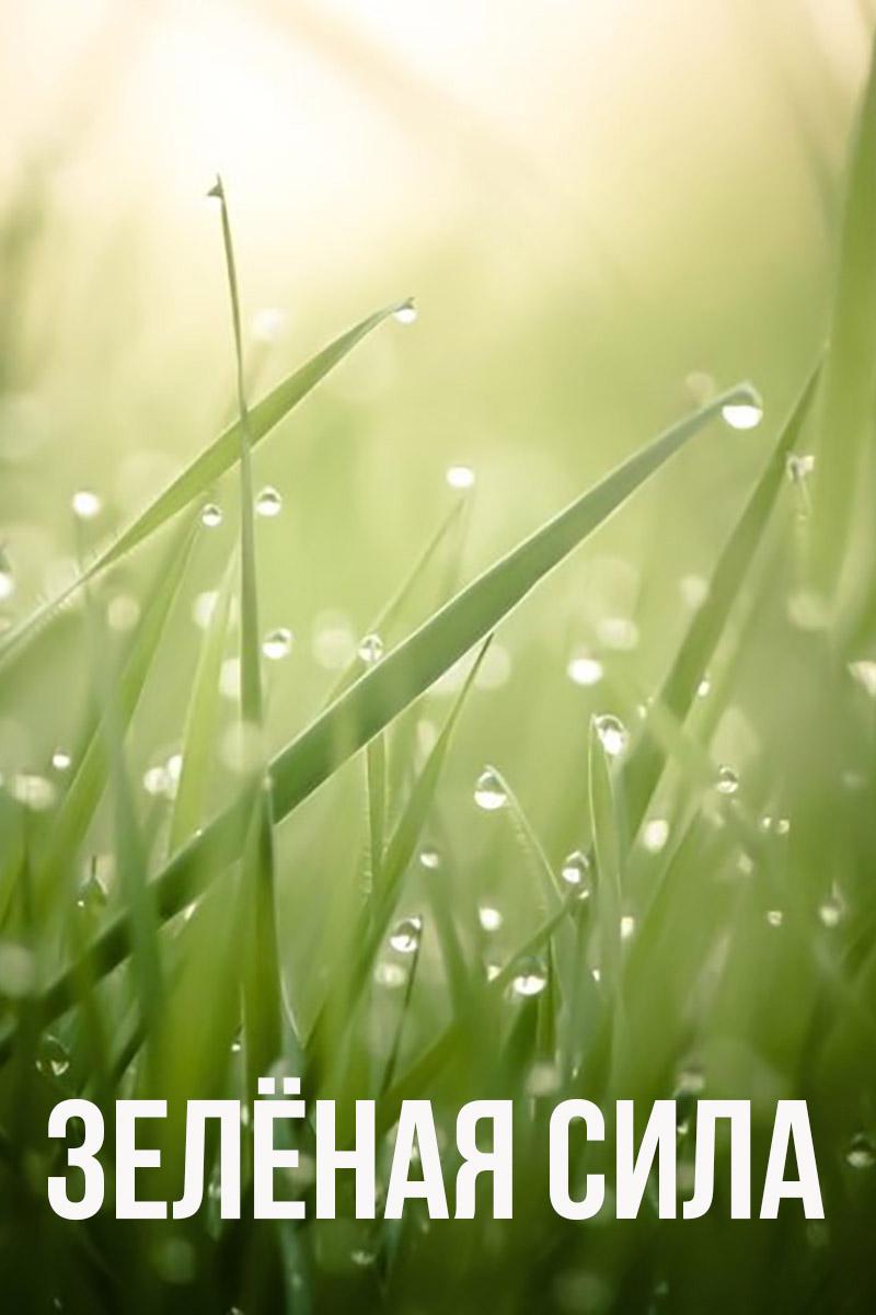 Зеленая сила
