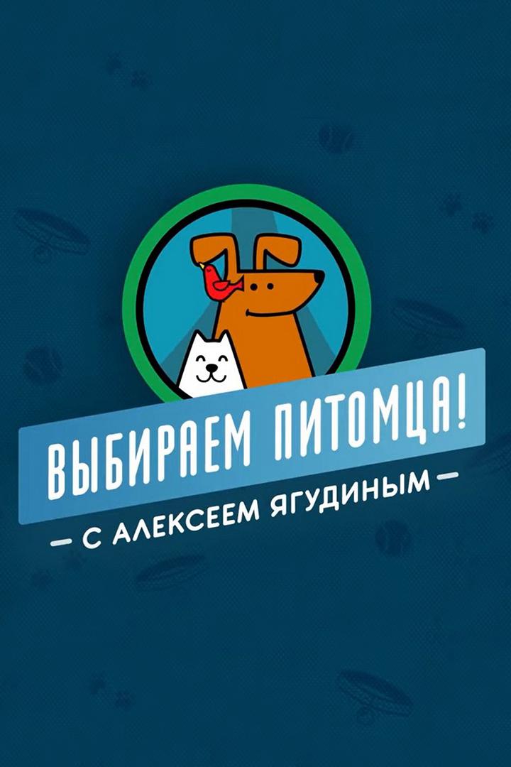 Выбираем питомца