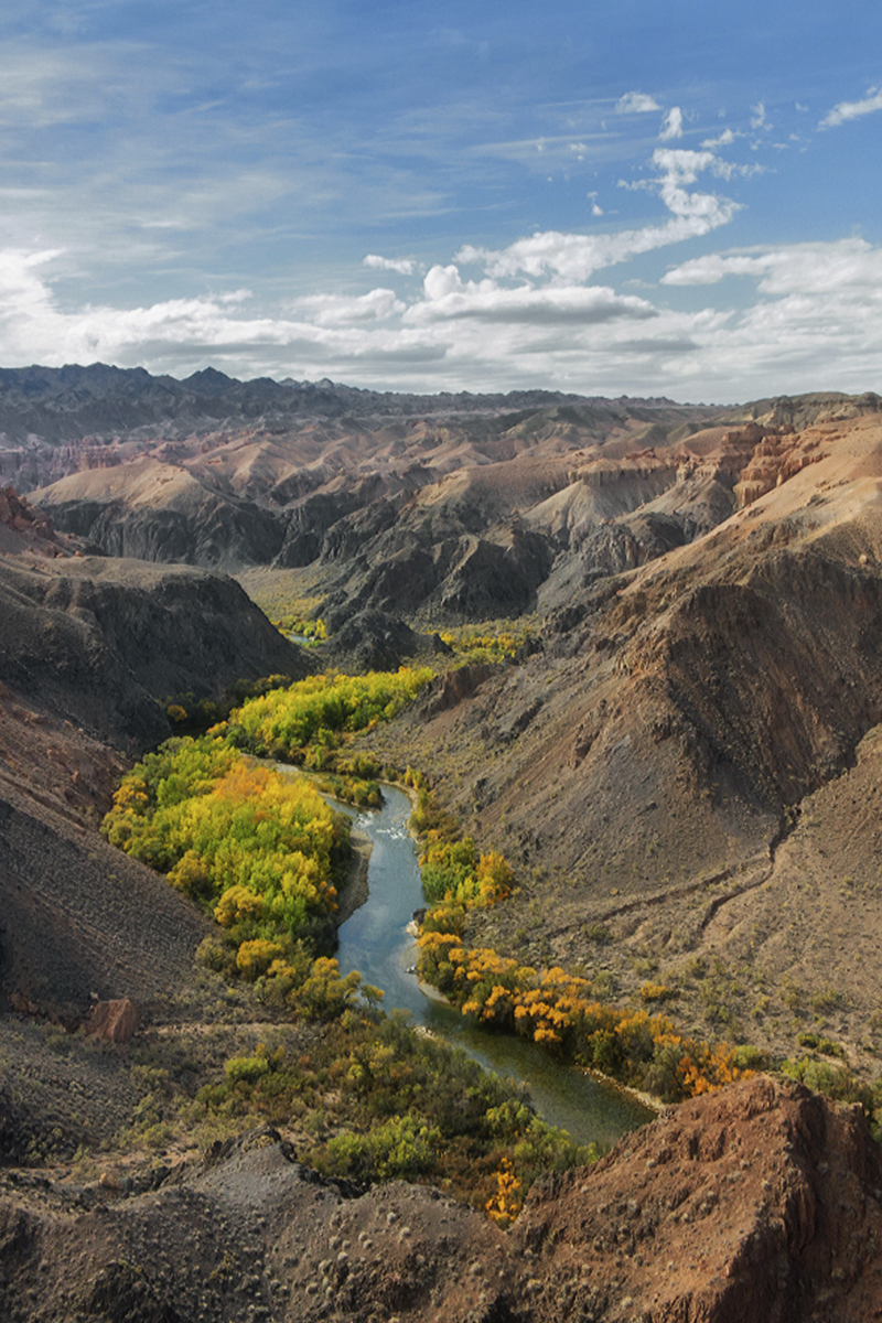 Каньон реки Чарын