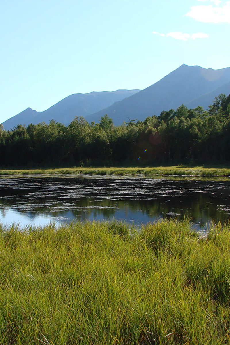 Байкало-Ленский заповедник