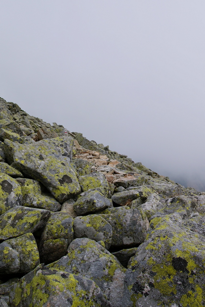 Гора Собака