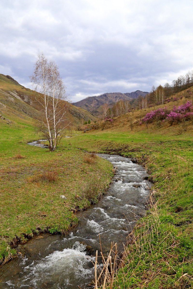 Река Косицца
