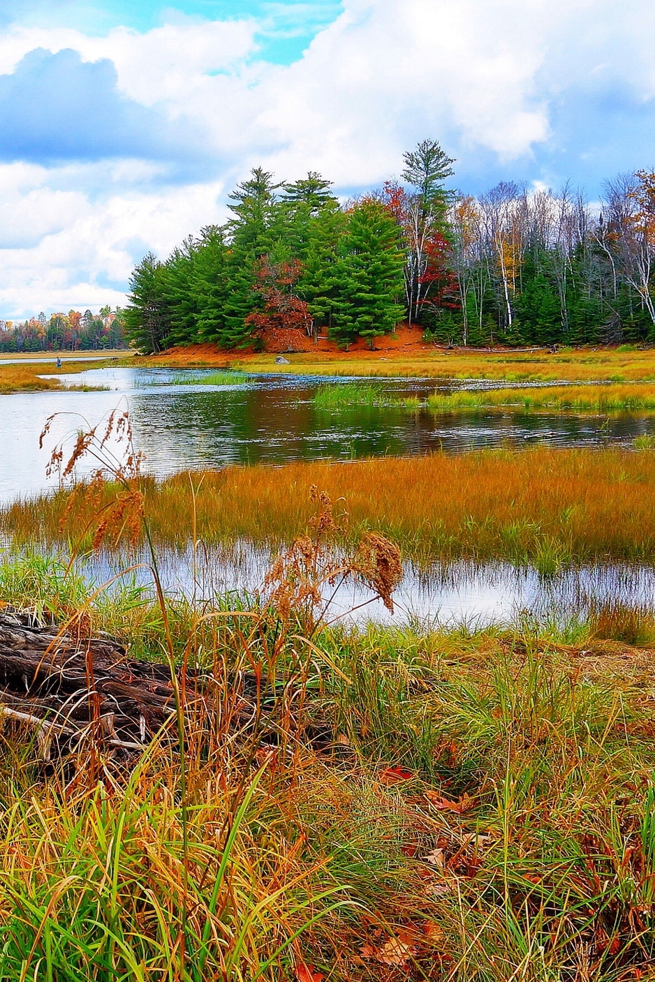 Река Рисена