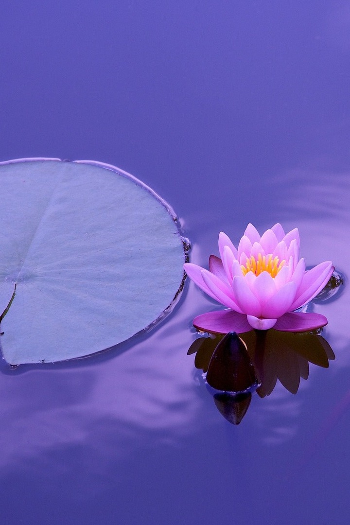 Уроки природы