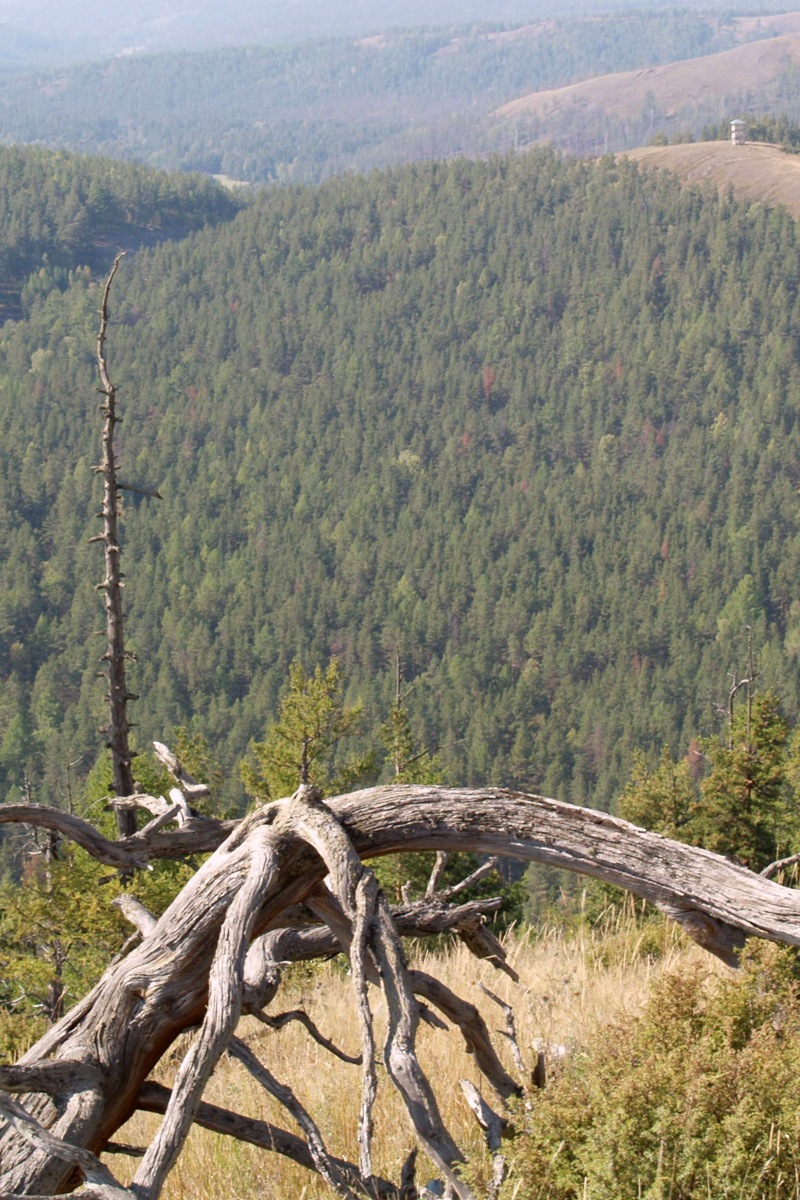 Хребет Башарт