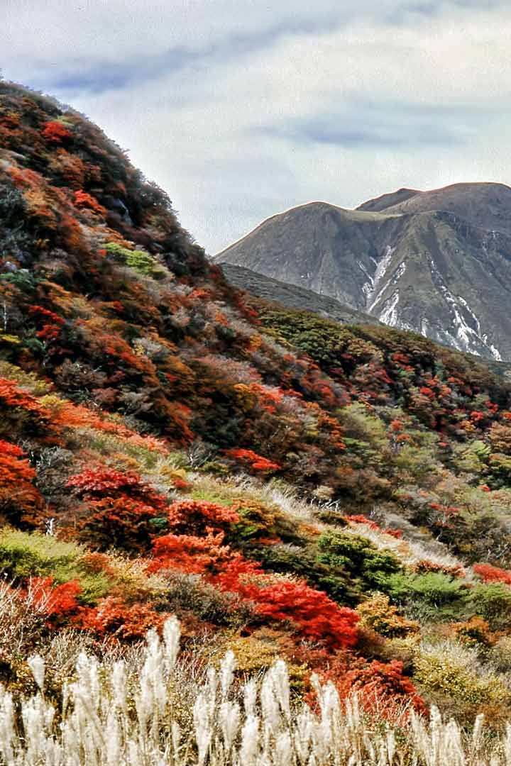 Япония многоликая