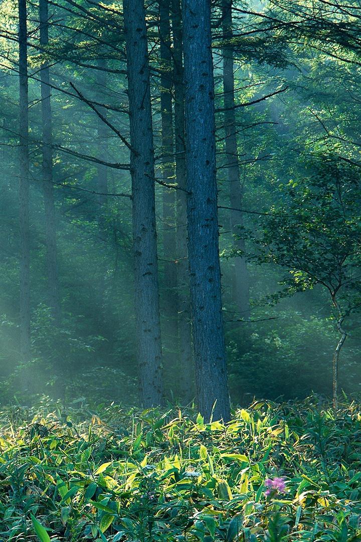 Волшебное сверло