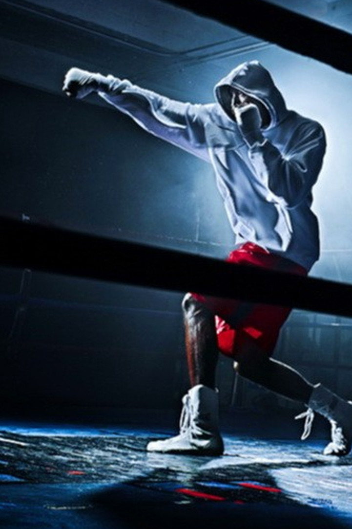 Смешанные единоборства. PRIDE Final Conflict 2004. Фёдор Емельяненко против Антонио Родриго Ногейры