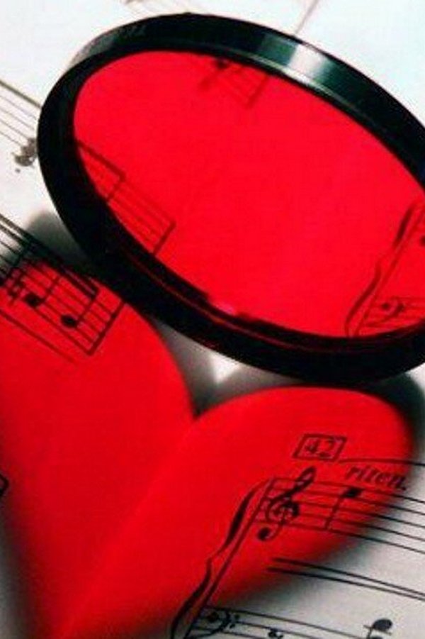 Ноты её сердца