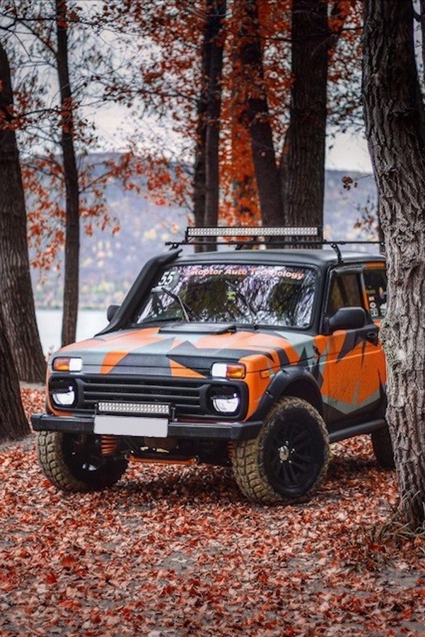 Путешествие с Ирон-Нива