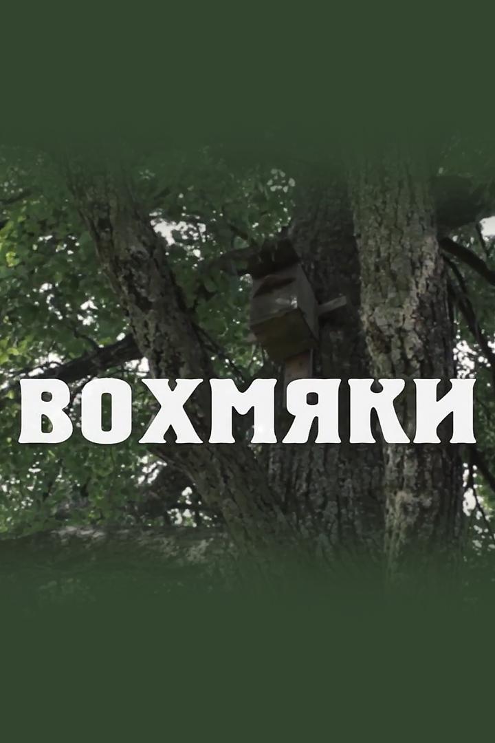 Вохмяки