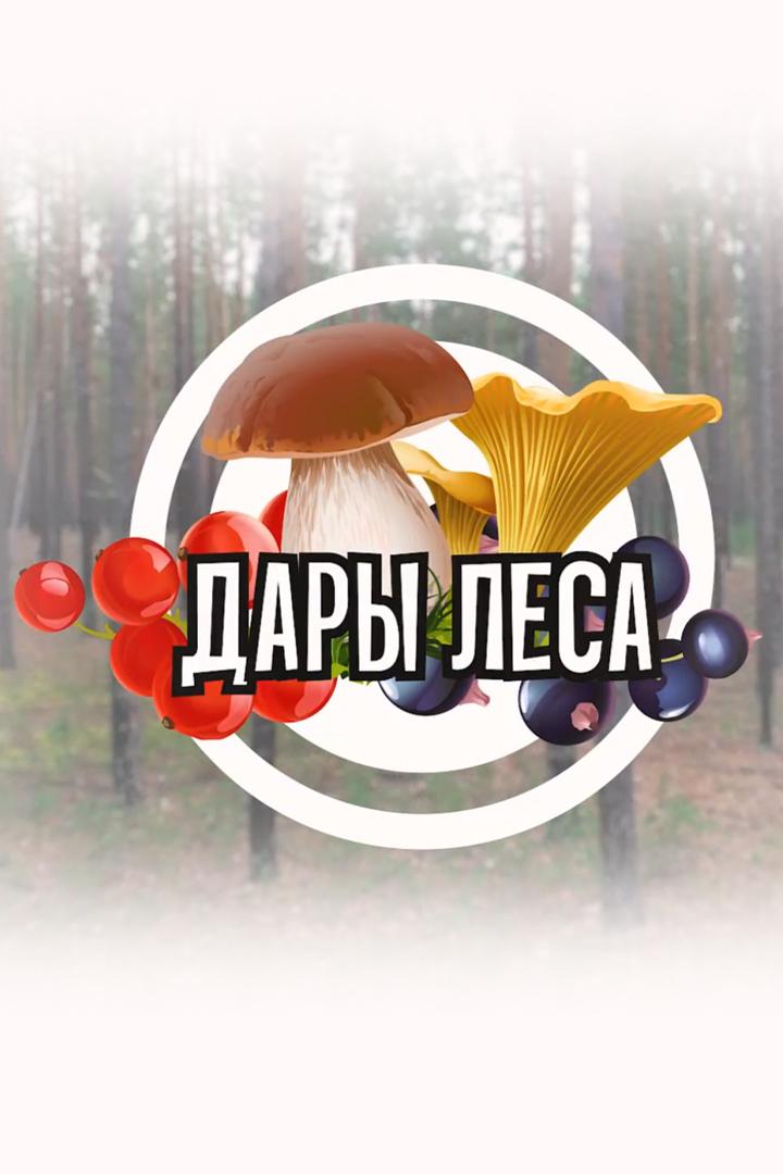 Дары леса