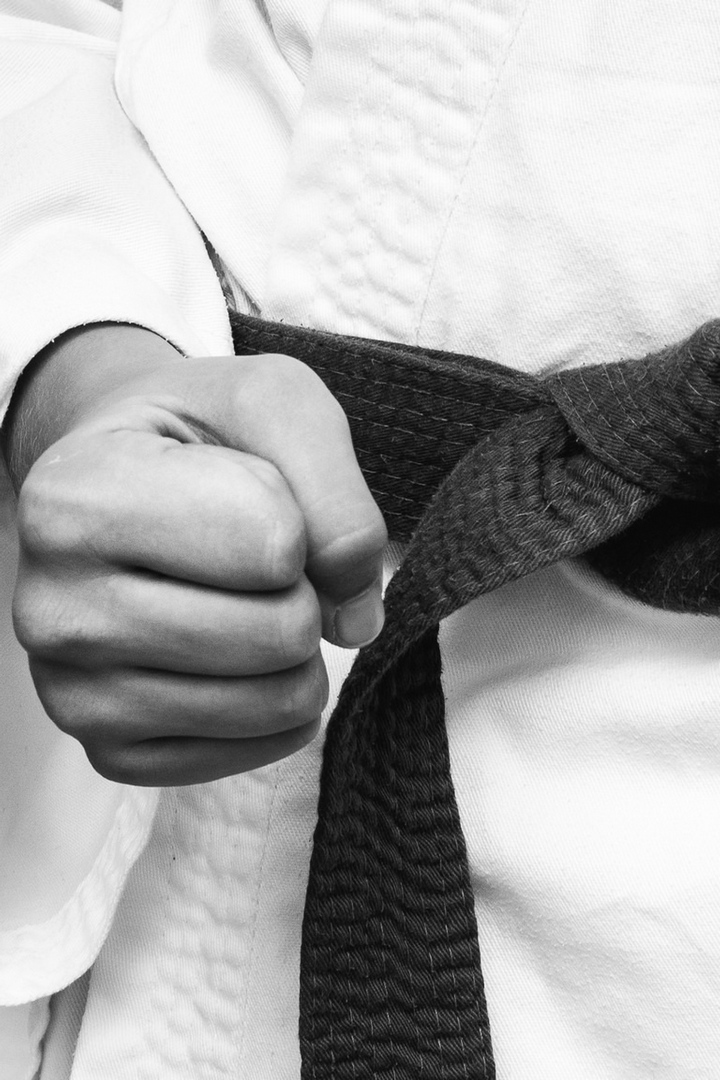 Каратэ. Чемпионат мира