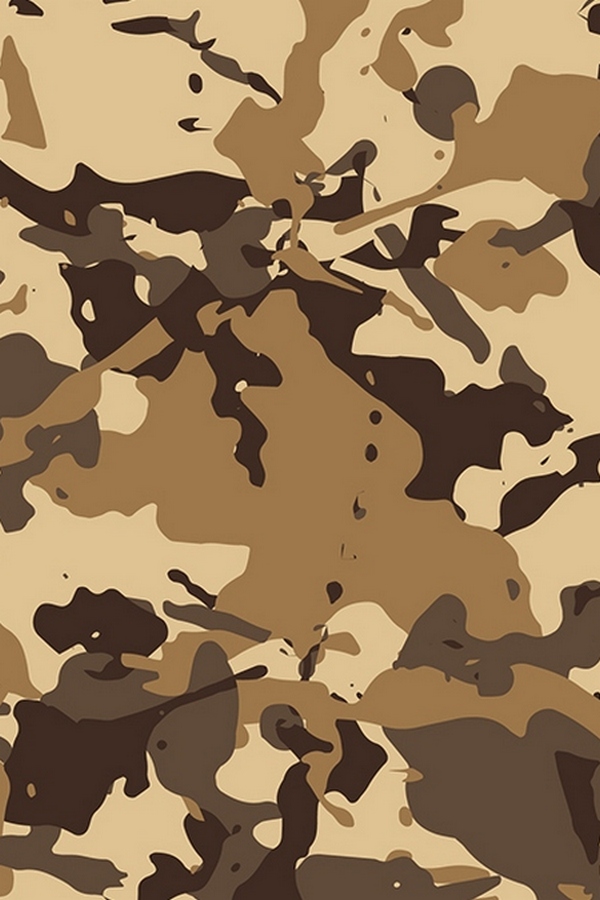 Освобождение. Схватка разведок