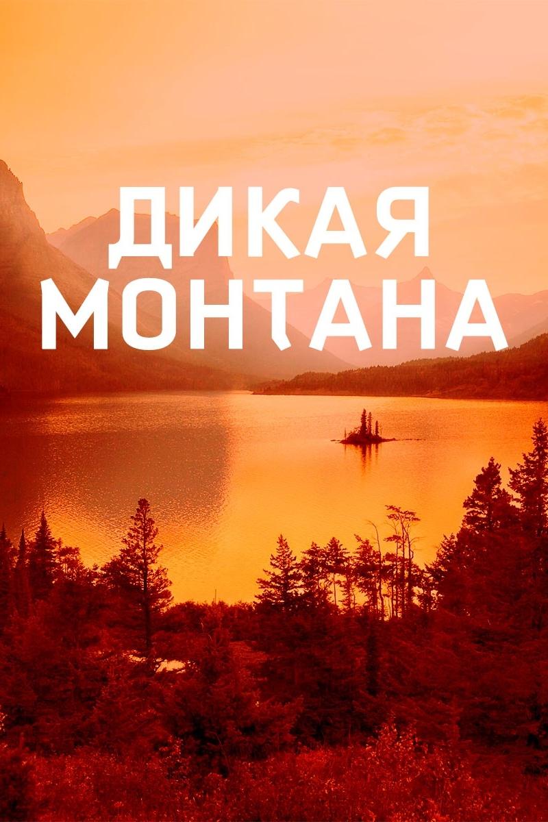 Дикая Монтана