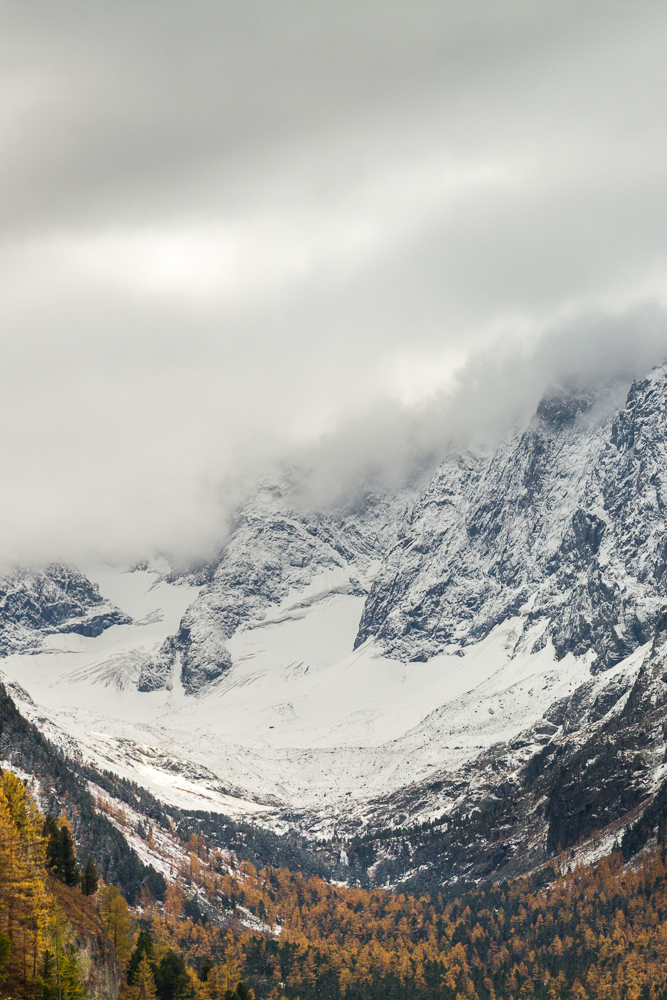 Снежное утро на реке Куйгук