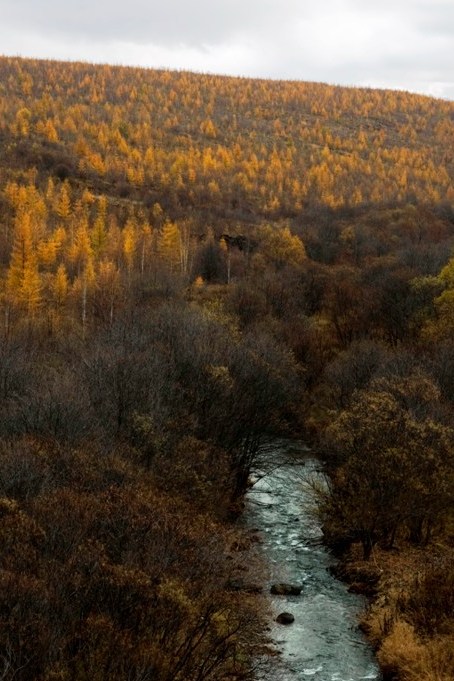 Река Чистоводная