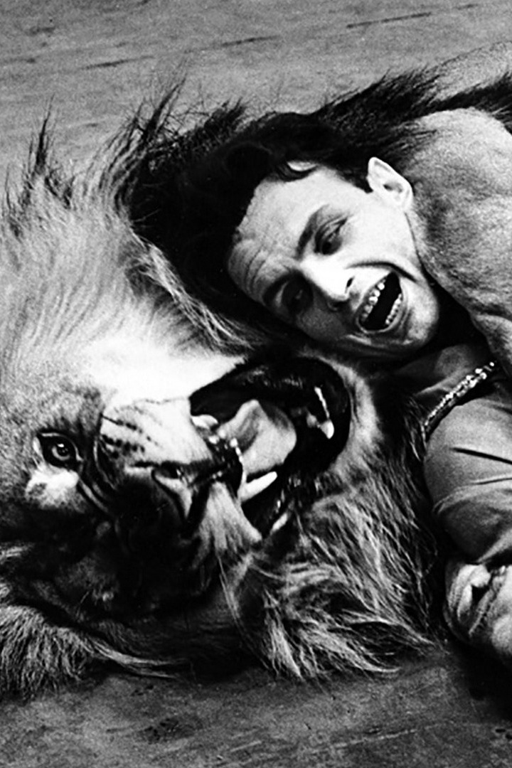 Львиная доля. Вальтер Запашный