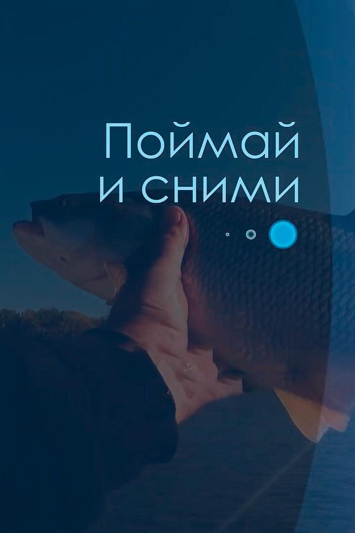 Поймай и сними