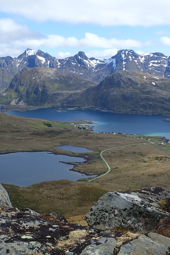 Стормаркполлен