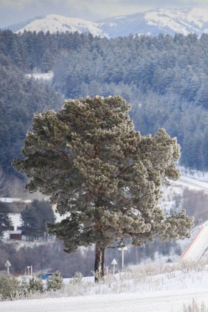 Зима в Бурзяне