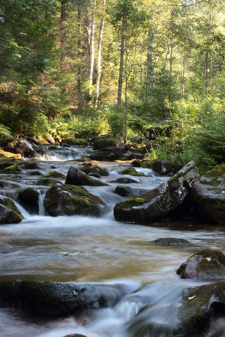 Ручей Селигурга