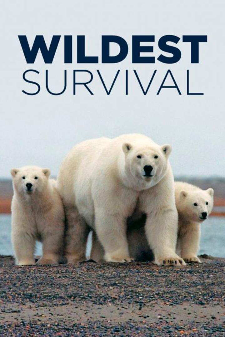 Дикое выживание