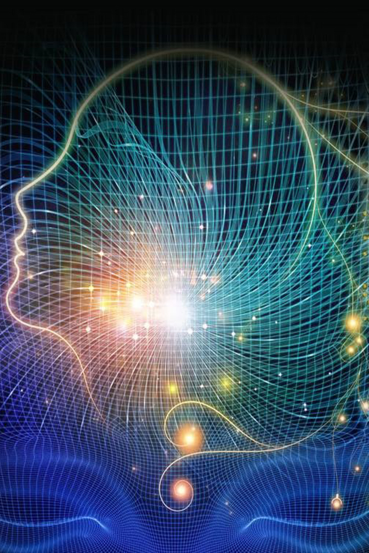 Шесть чувств