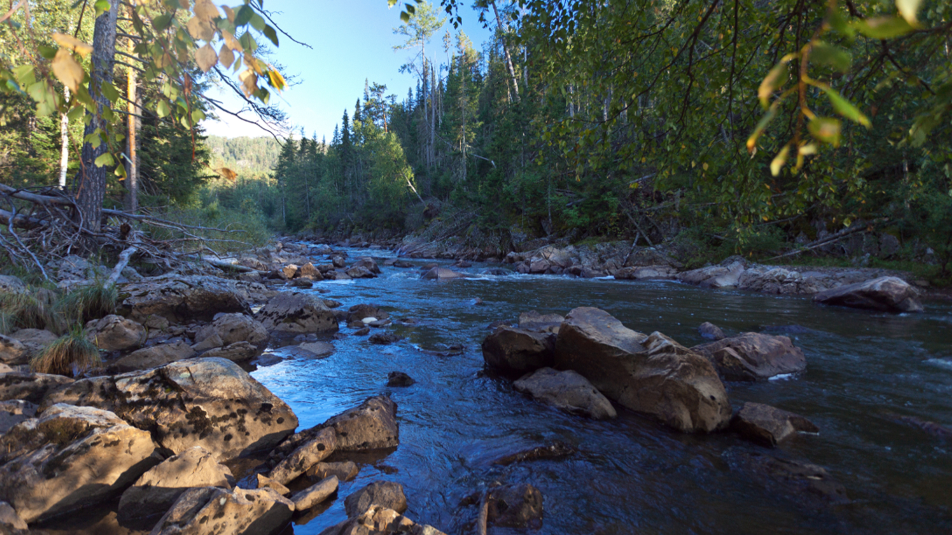 Река Березяк