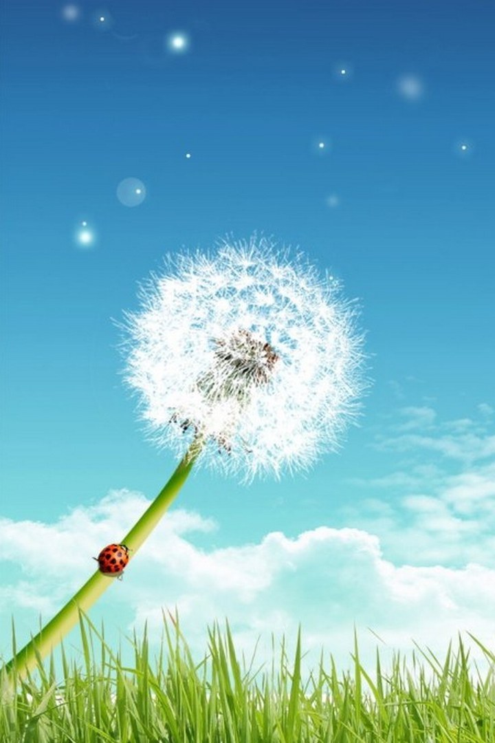 Ради жизни на земле