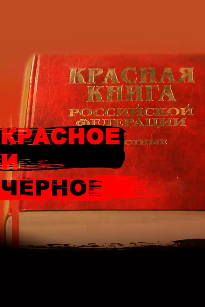 Красное и черное