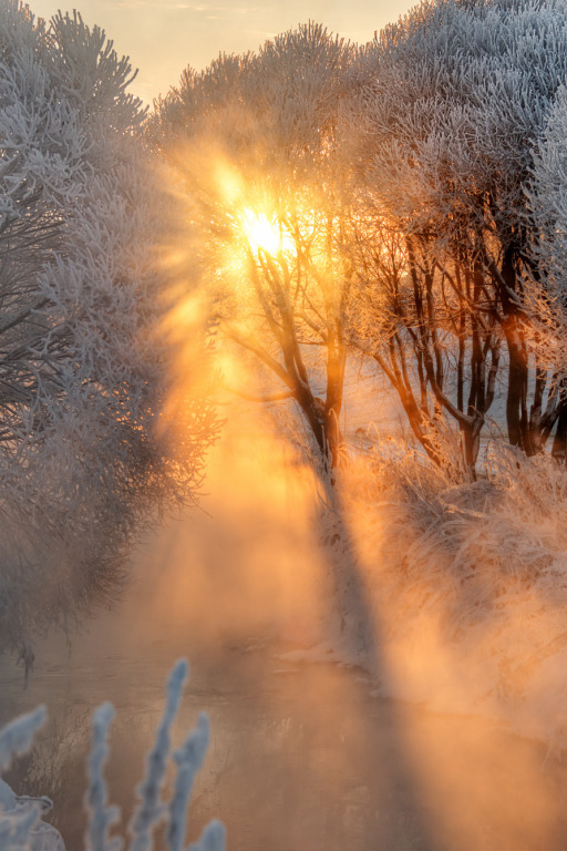 Дыхание грядущей зимы