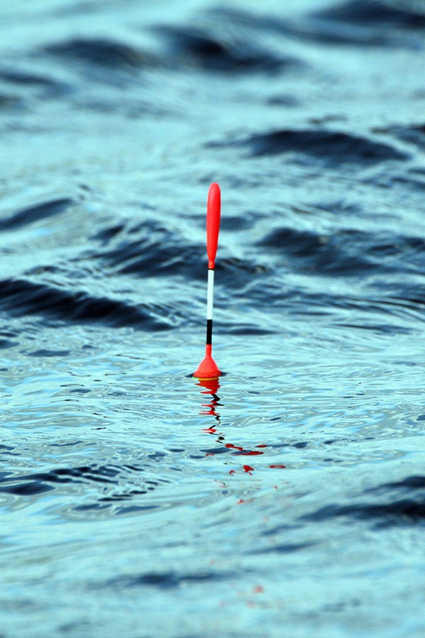 "Подводный мир" с Владимиром Солоповым и Сергеем Сорокиным