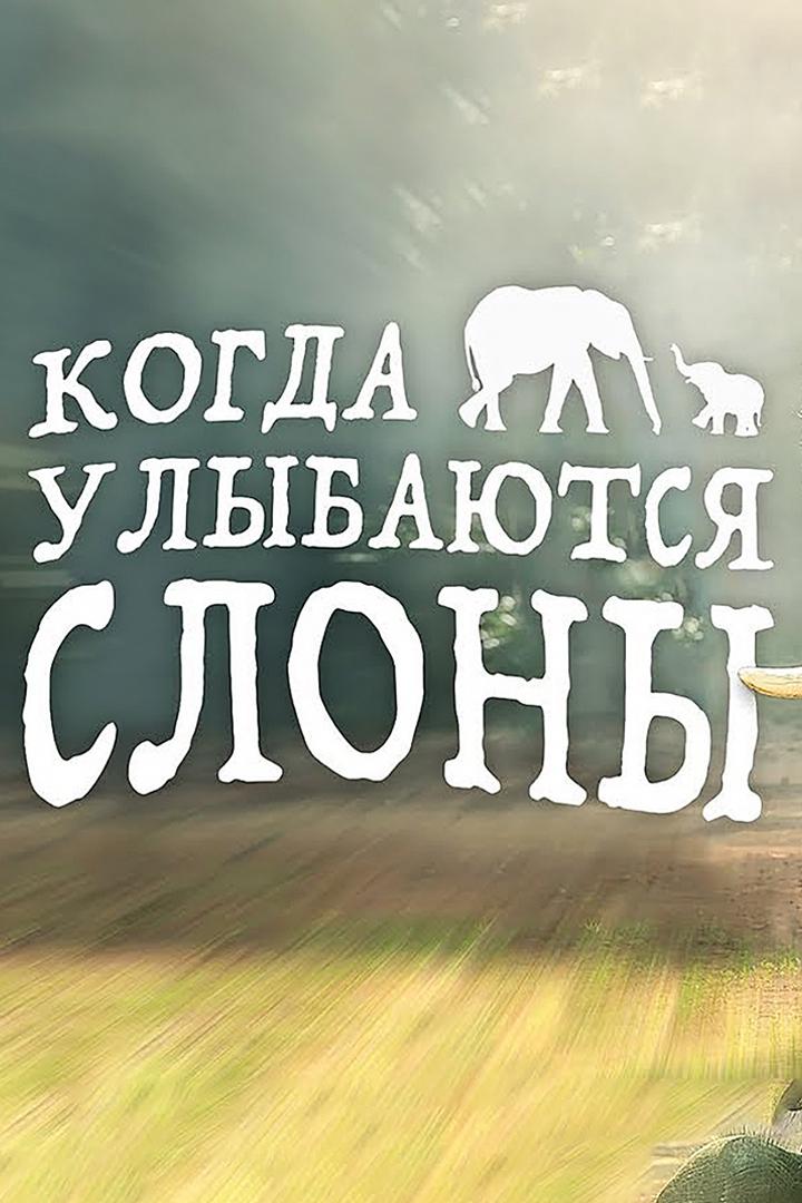 Когда улыбаются слоны