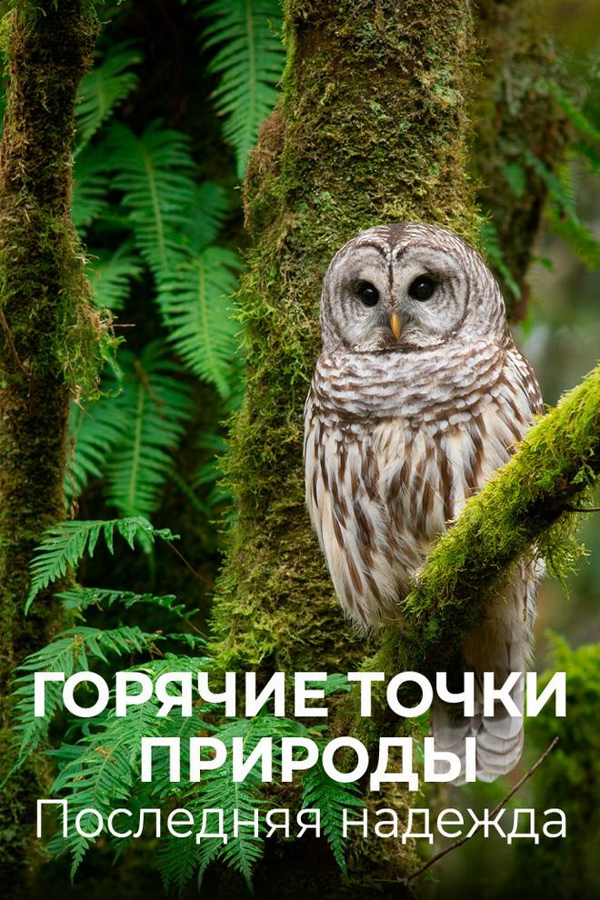Горячие точки природы. Последняя надежда