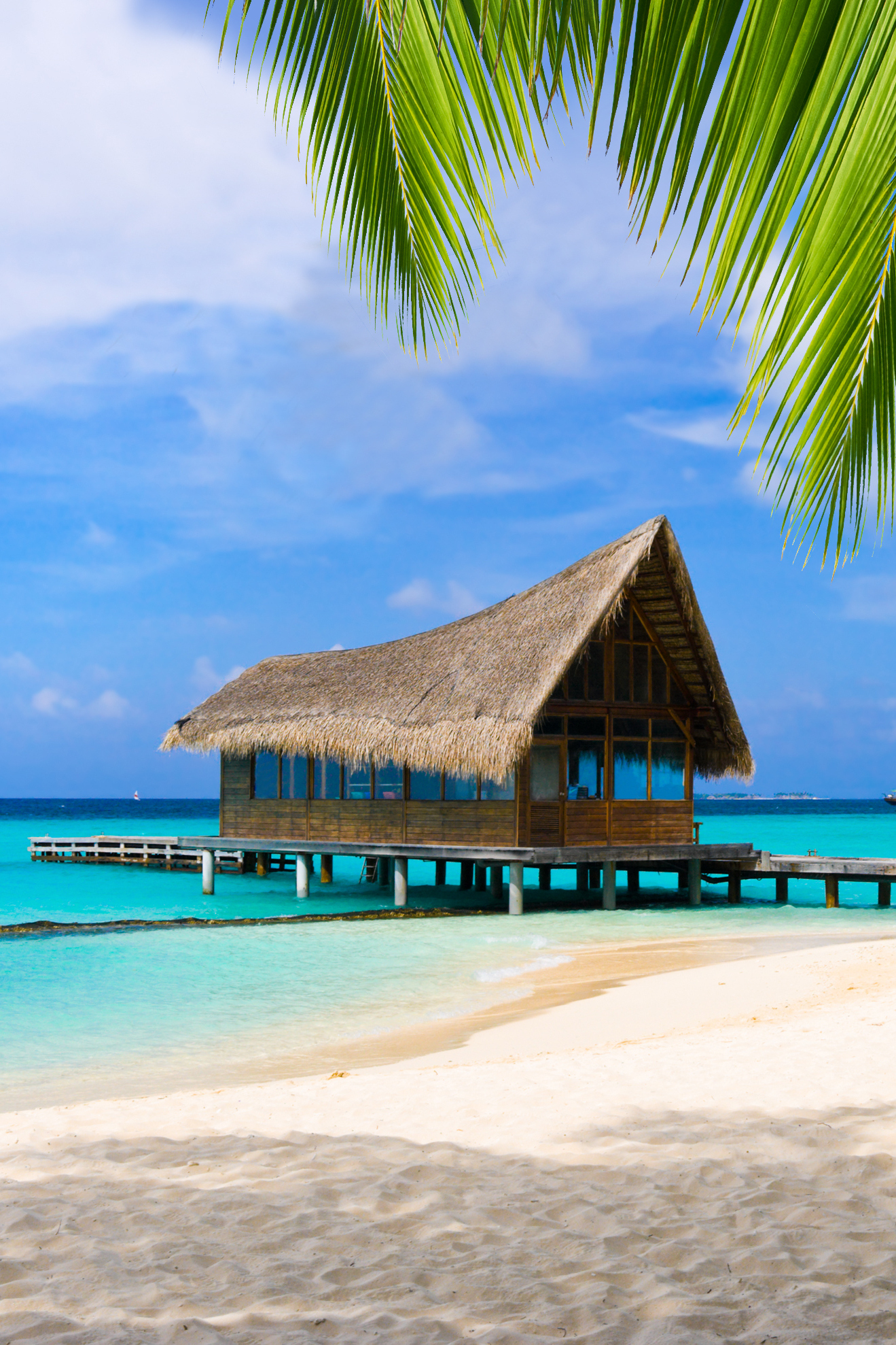 Дикие Мальдивы