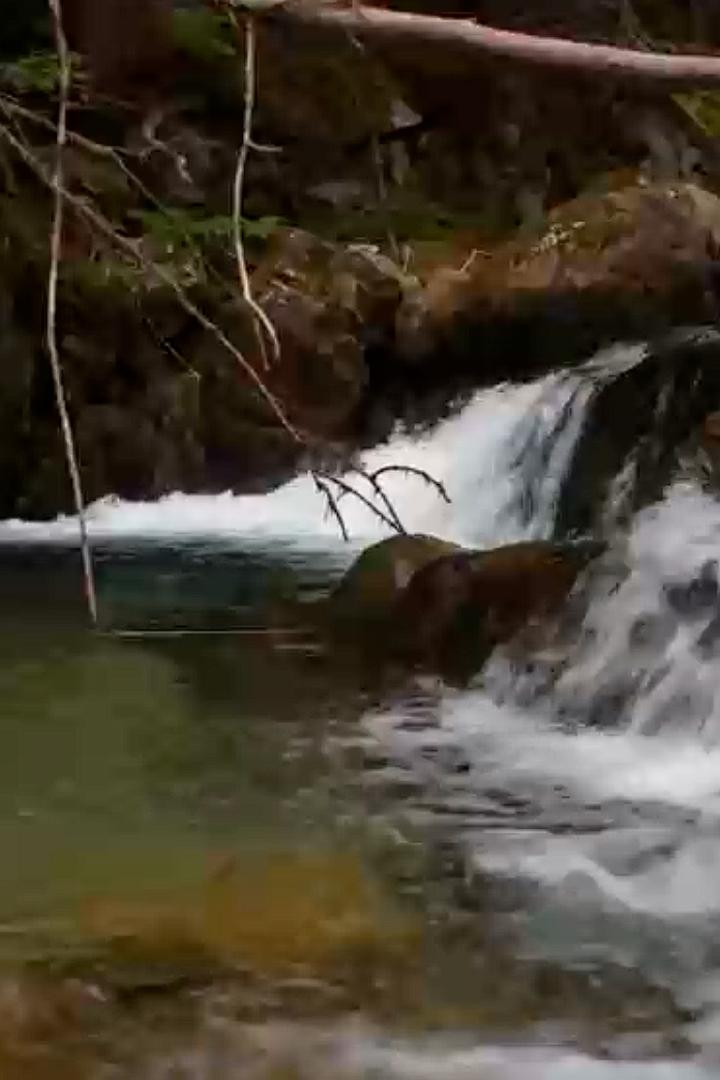 Река Демяница