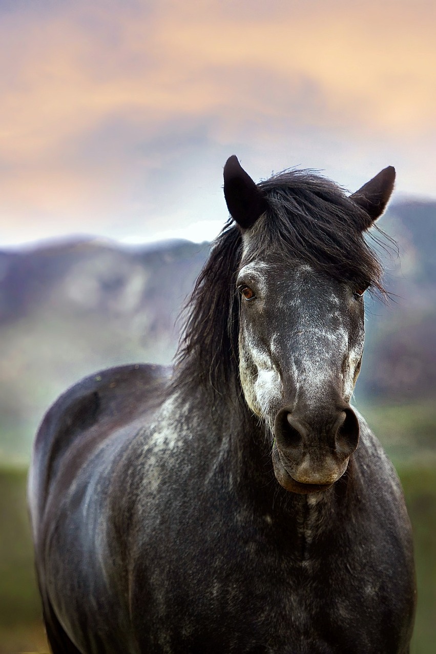 Эпоха лошади