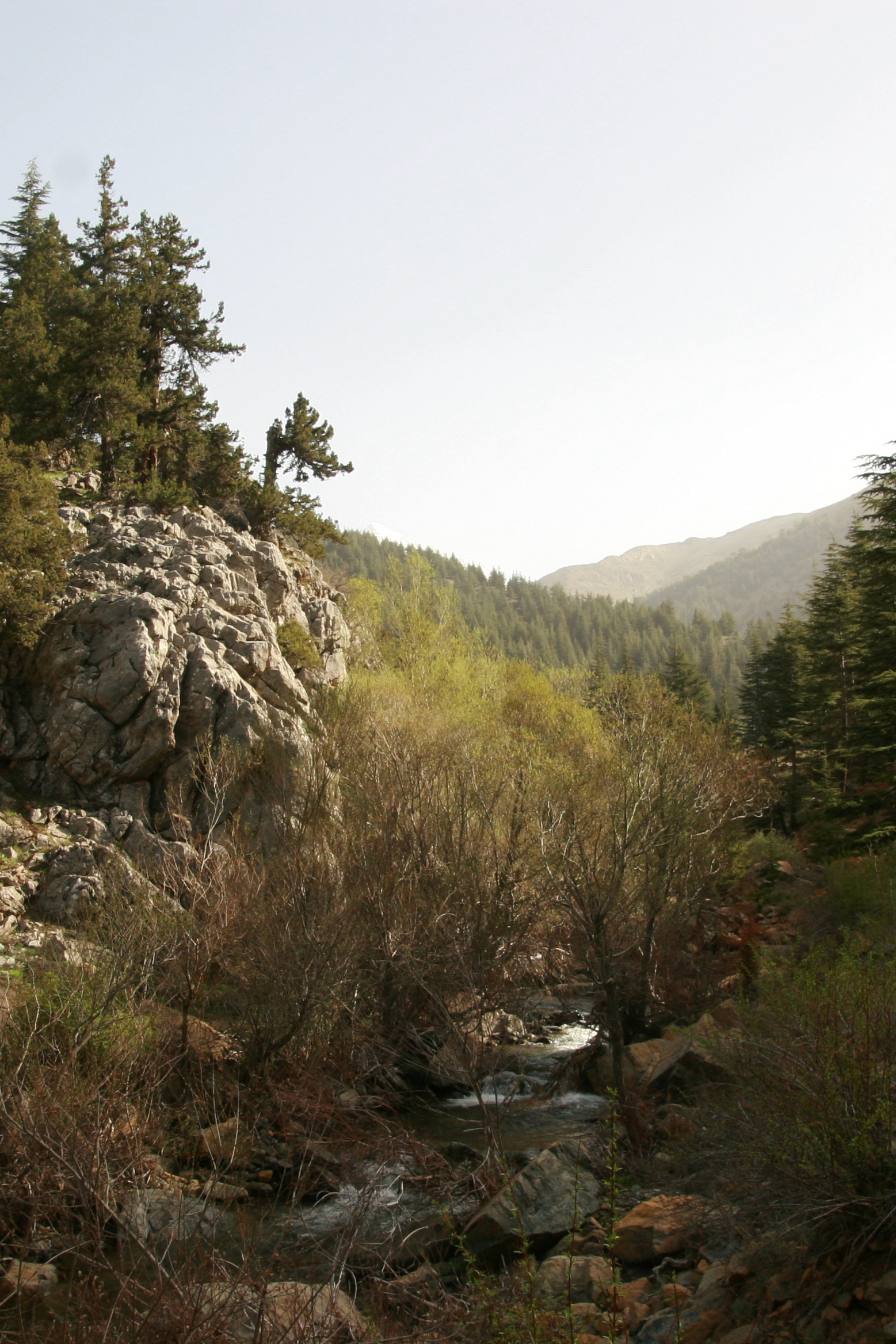 Скалистые тропинки