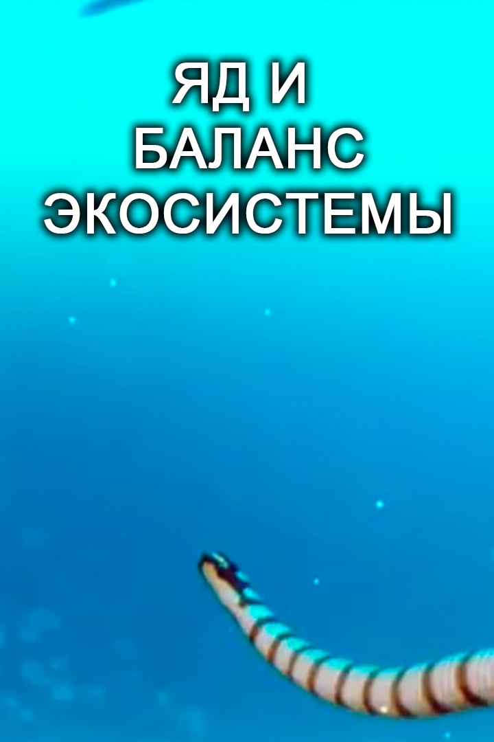 Яд и Баланс экосистемы