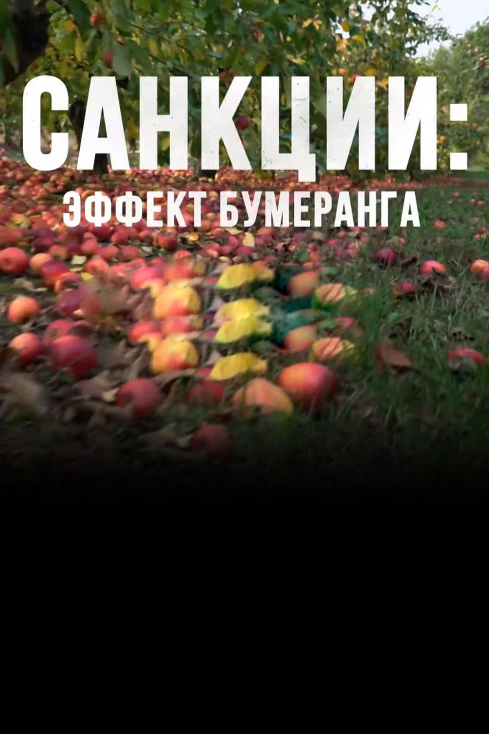 Санкции: эффект бумеранга