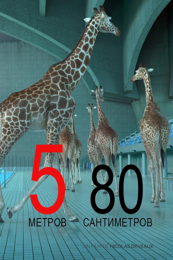 5 метров 80 сантиметров