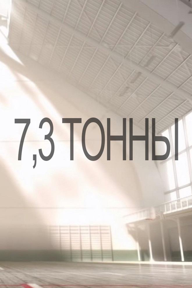 7,3 тонны