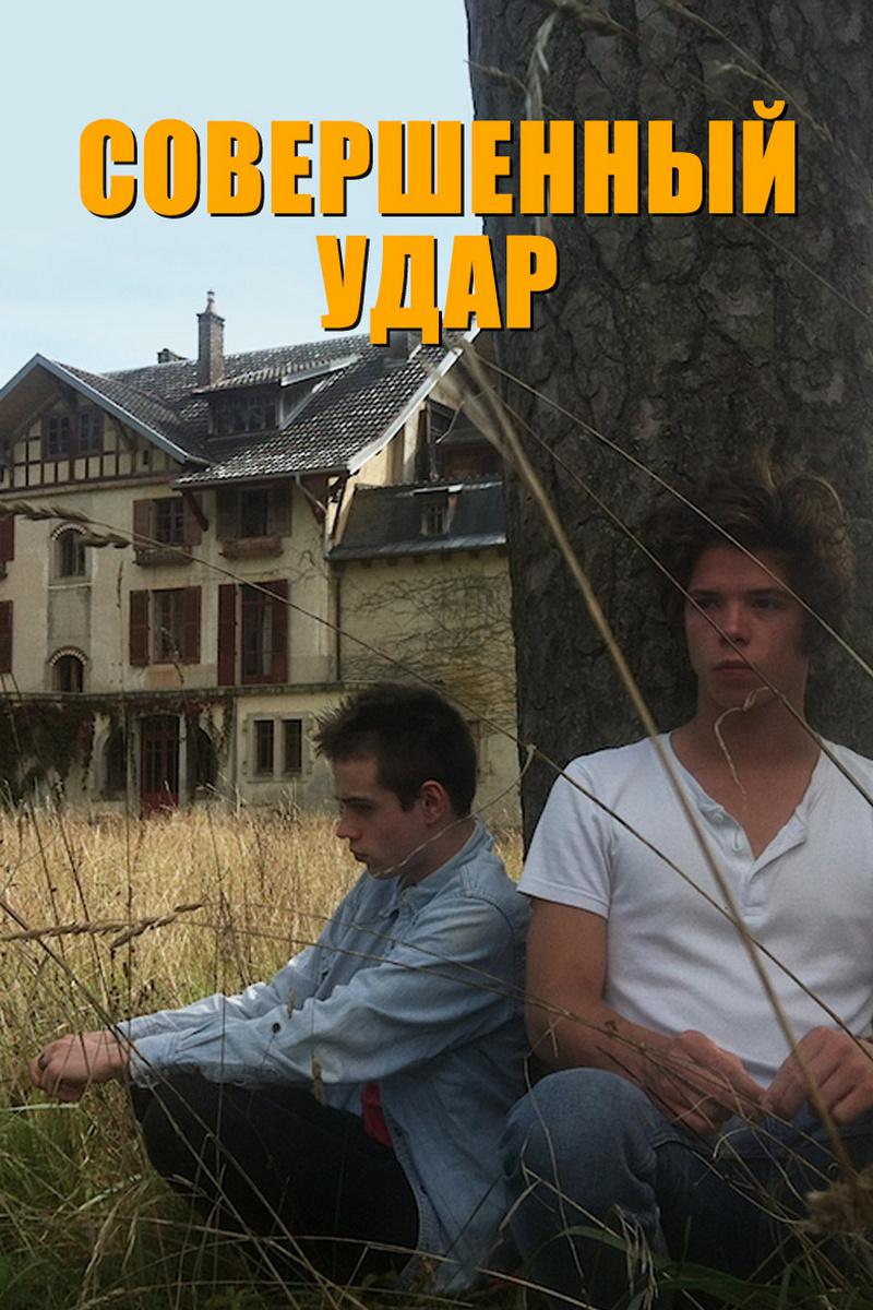 Совершенный удар