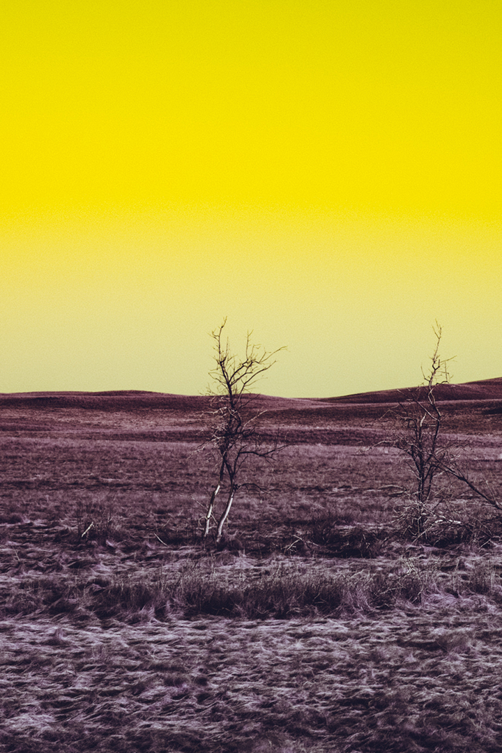 Буртинская степь