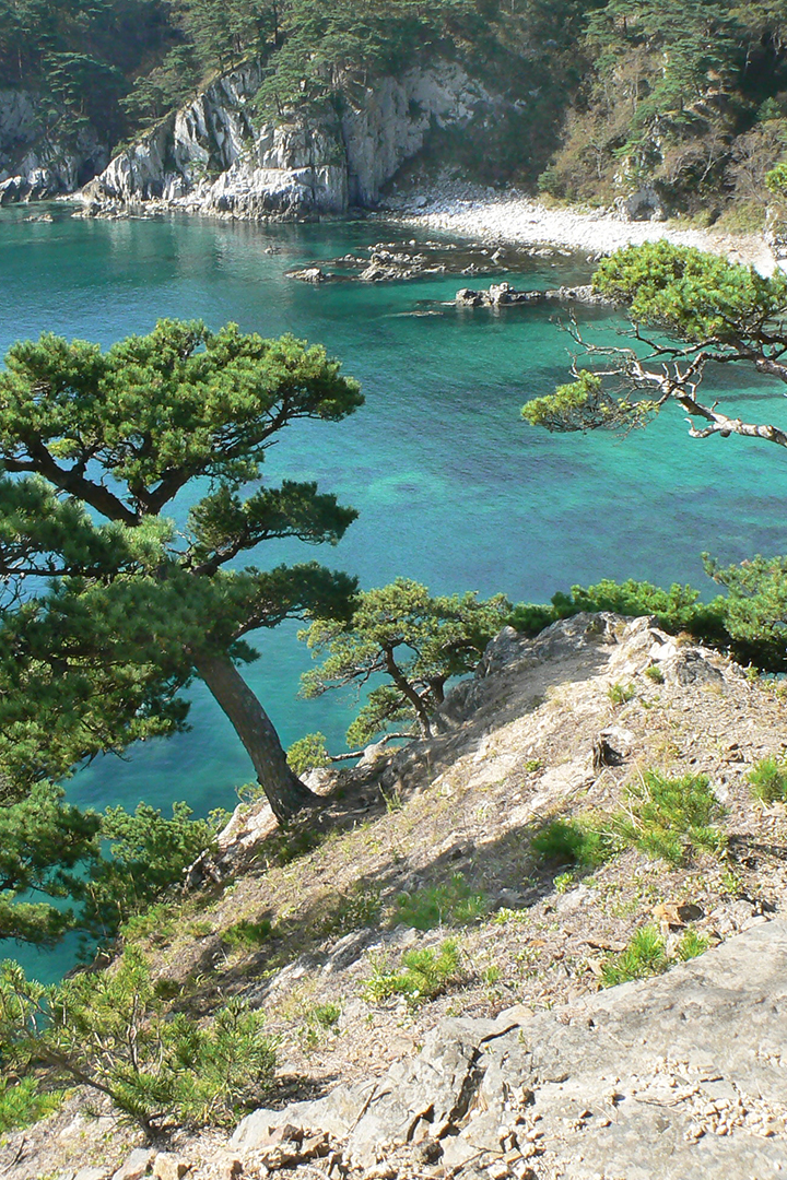 Бухта Теляковского